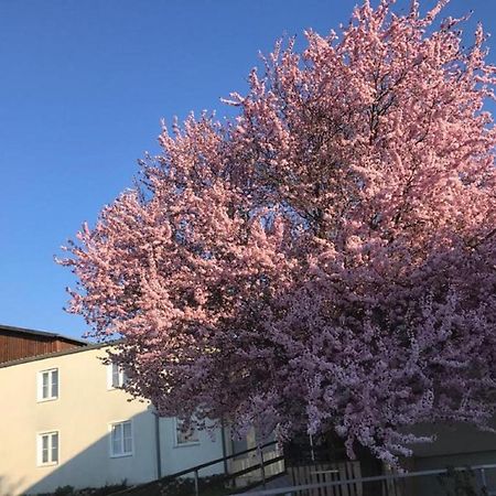 Landpension Gschwantner Lengenfeld Εξωτερικό φωτογραφία
